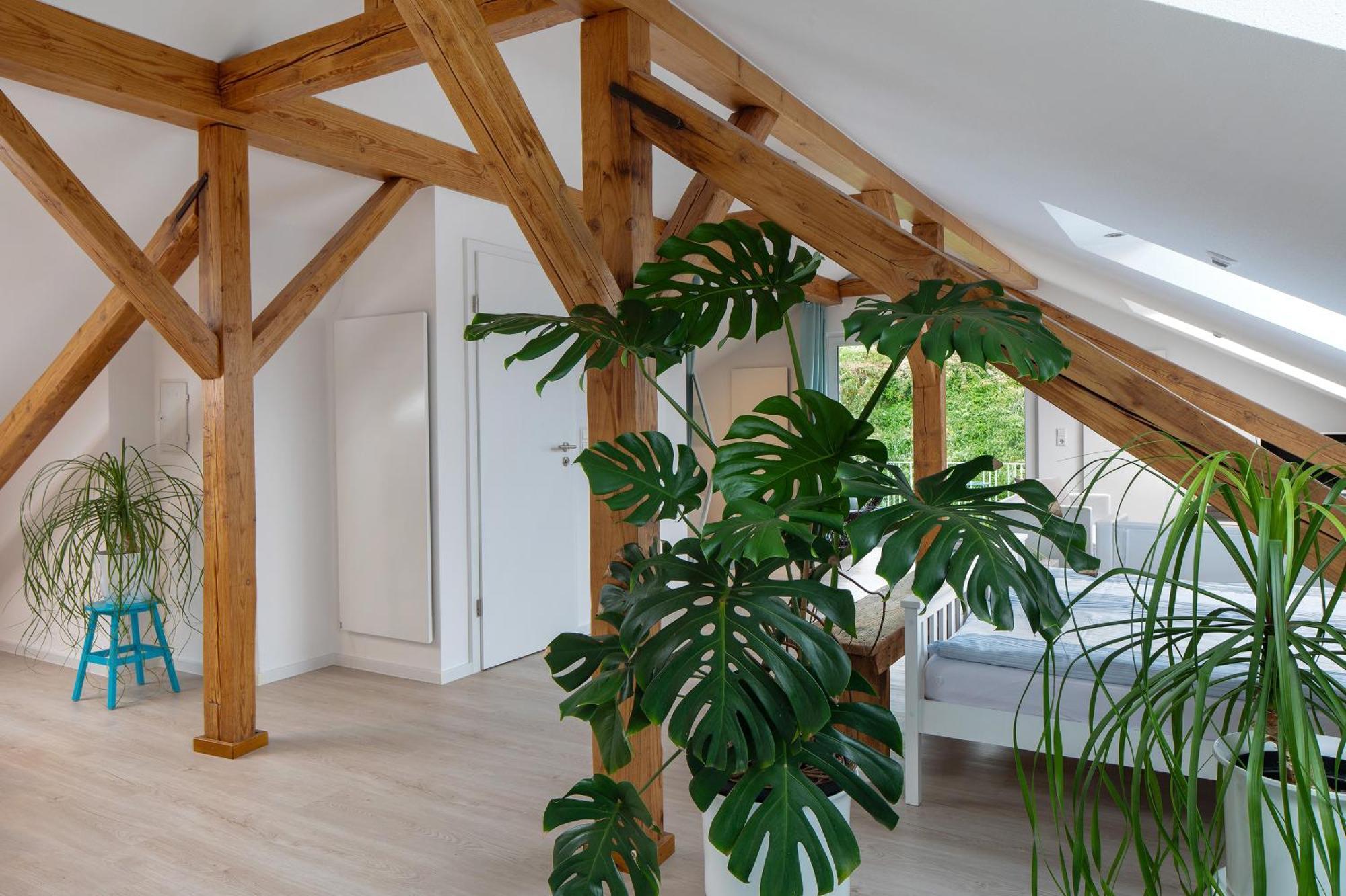 Ferienhaus Engelsberghof Endingen am Kaiserstuhl Extérieur photo